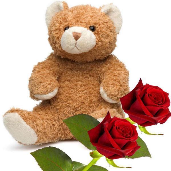 Teddy Bear and Roses