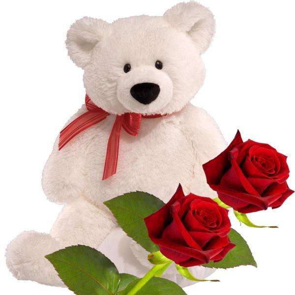 Red Roses and Teddy