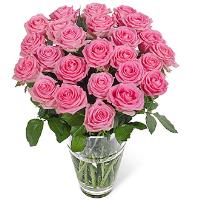 24 Pink Roses