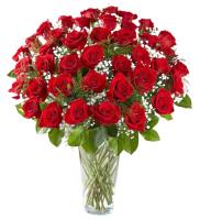 50 Red Roses