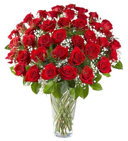 50 Red Roses