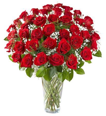 50 Red Roses