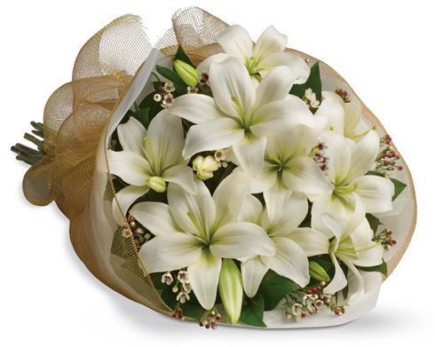 White Lilies