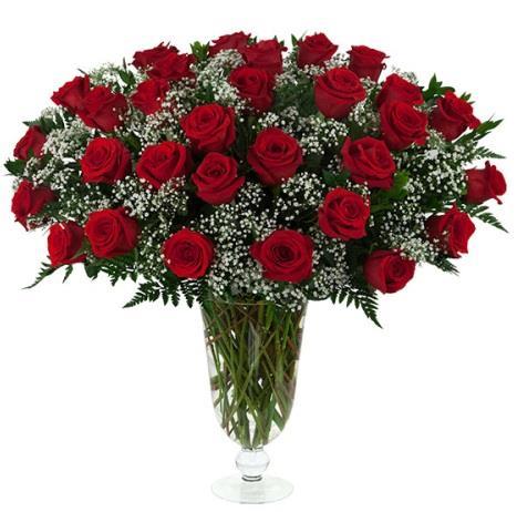 30 Red Roses